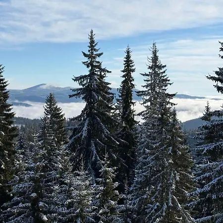 Апартамент Wild Luxury Pamporovo *